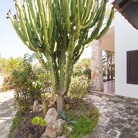 Villa Rose Marina di Mancaversa Ngoại thất bức ảnh